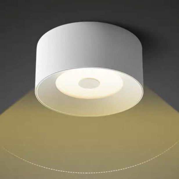 Open-mounted downlight round living room bedroom porch led lamps