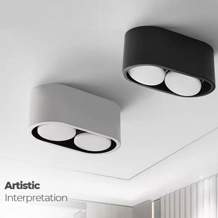 Open-mounted downlight double-headed bile lamp led oval ceiling living room