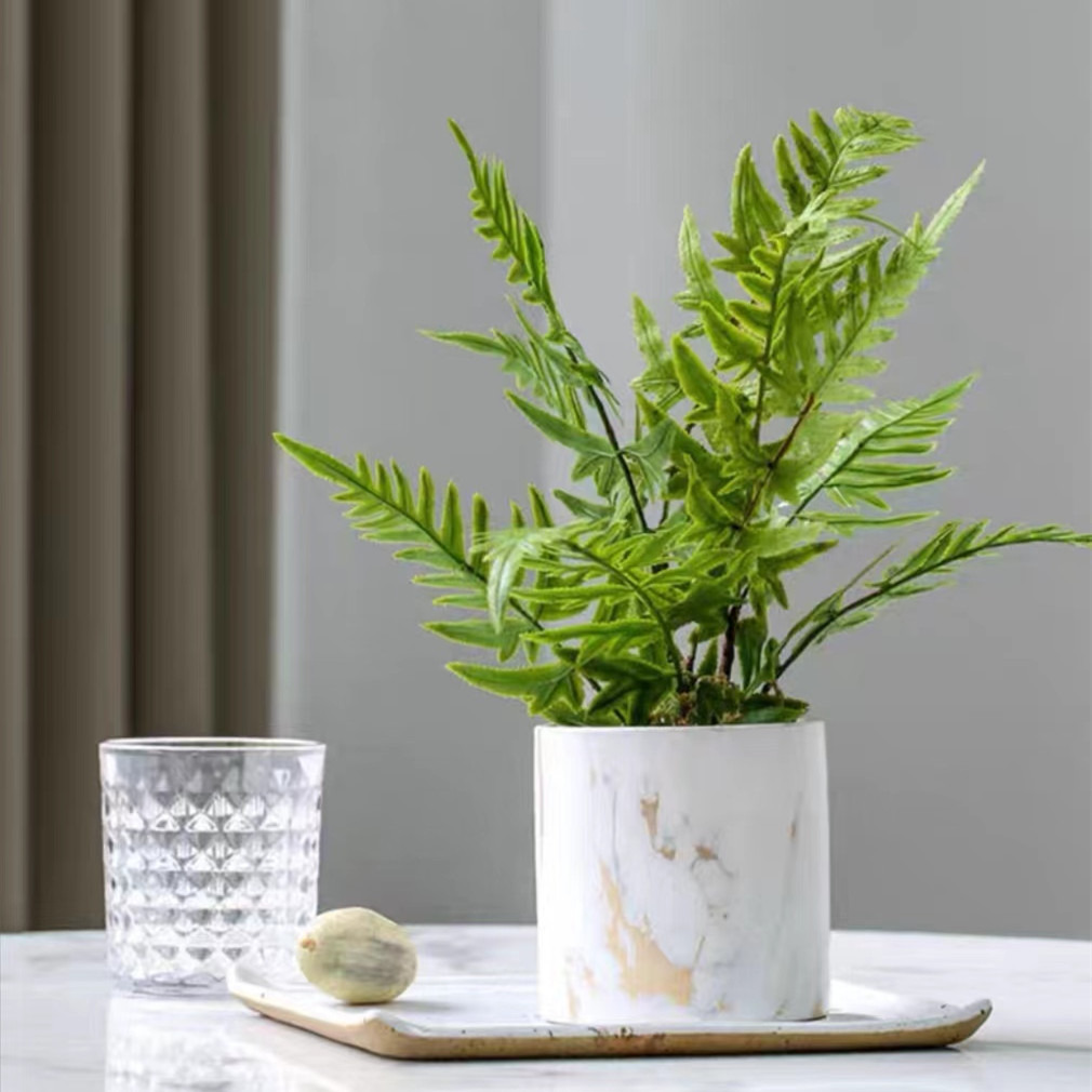 Modern simple simulation green plant