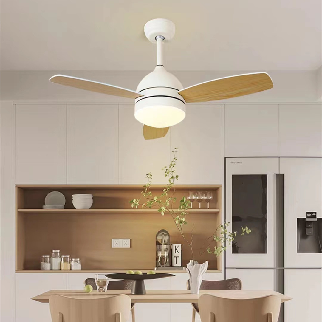 Simple modern fan Chandelier