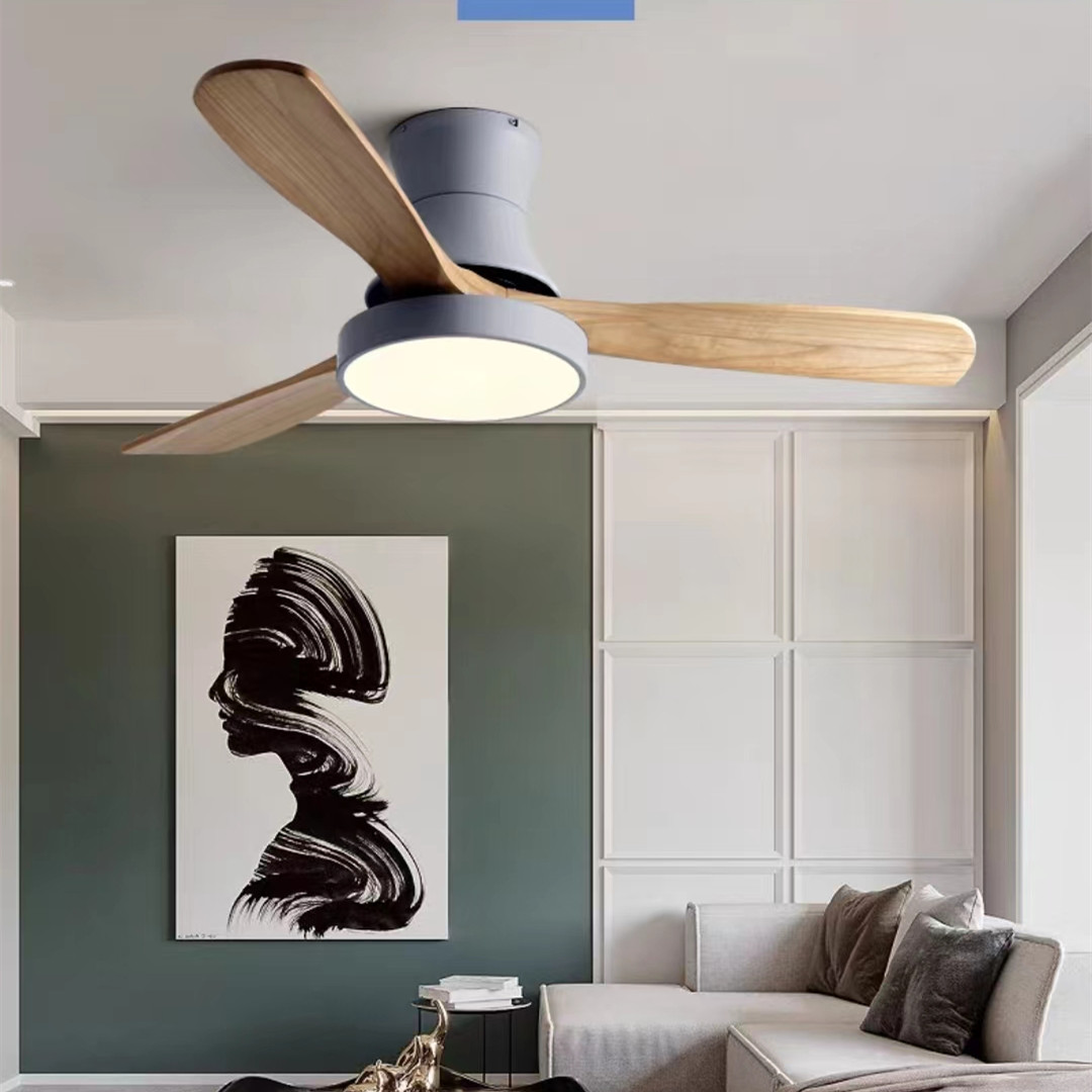 Nordic fan lamp ceiling lamp